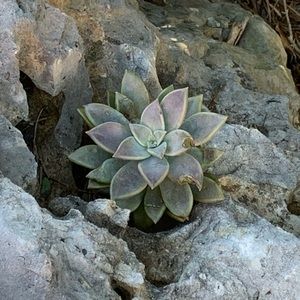 Meet your Posher, Rochelle